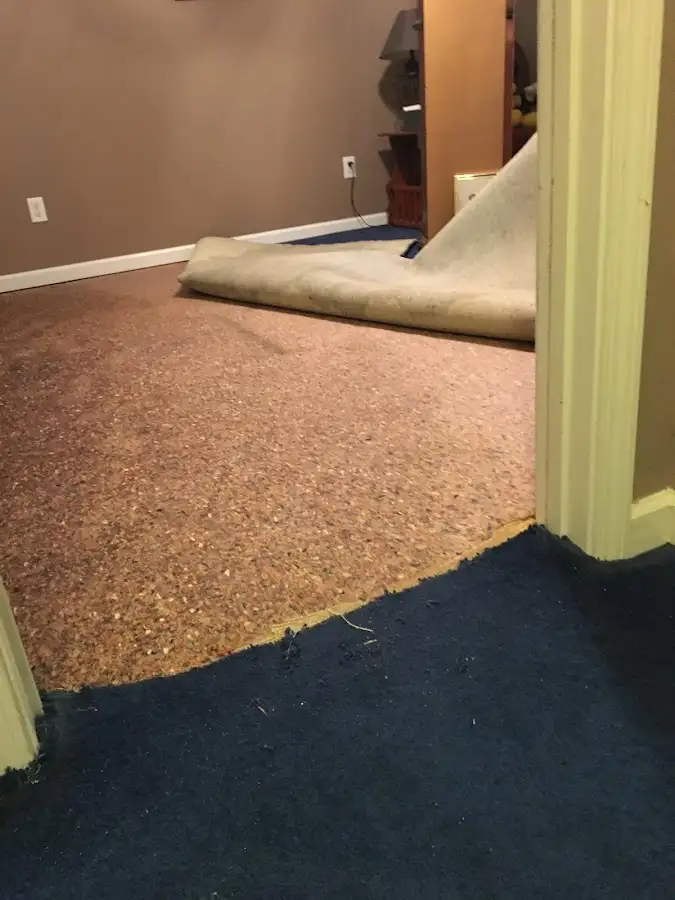 Carpet pad removal revealing water damage during Drying & Dehumidification in LaBelle