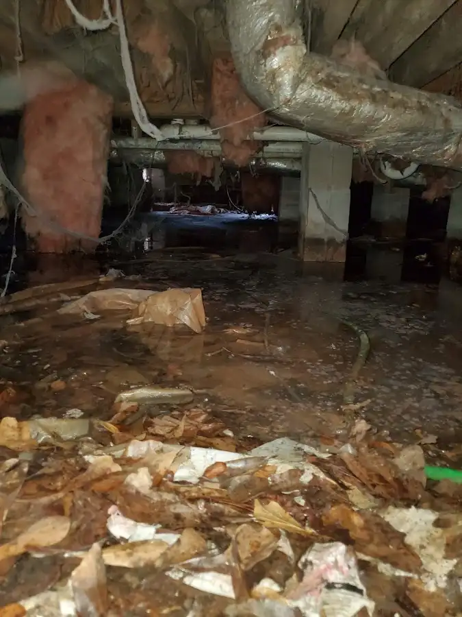 Crawl space flood assessment for Leak Detection & Repair in LaBelle